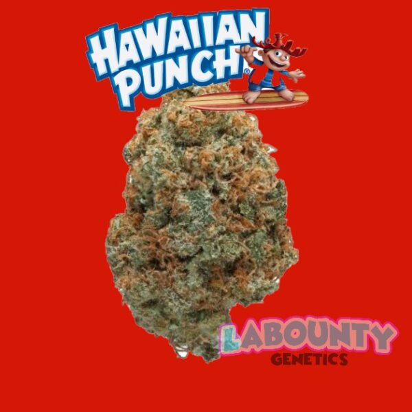 Hawaiian Punch